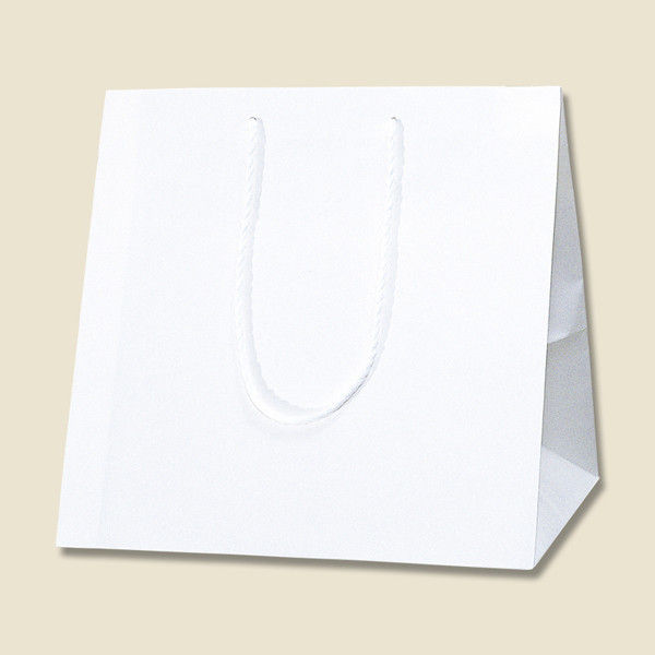 【ケース販売】シモジマ HEIKO 紙袋 アレンジバッグ M 白無地 006441101 1ケース(10枚入×5袋 合計50枚)（直送品）