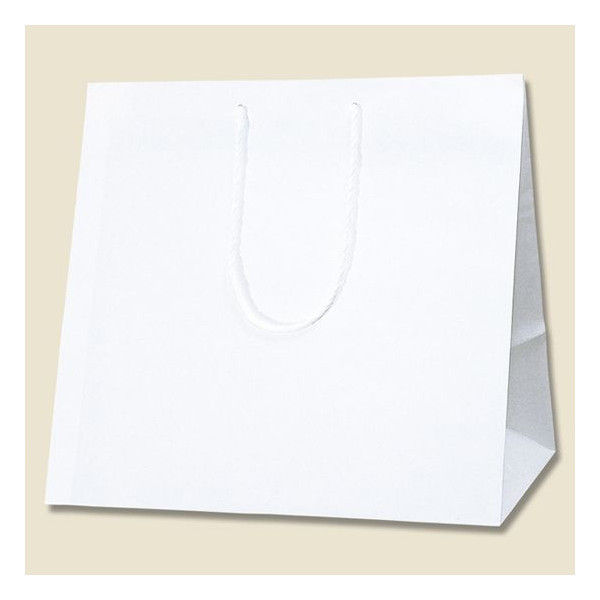 【ケース販売】シモジマ HEIKO 紙袋 アレンジバッグ S 白無地 006441102 1ケース(10枚入×5袋 合計50枚)（直送品）