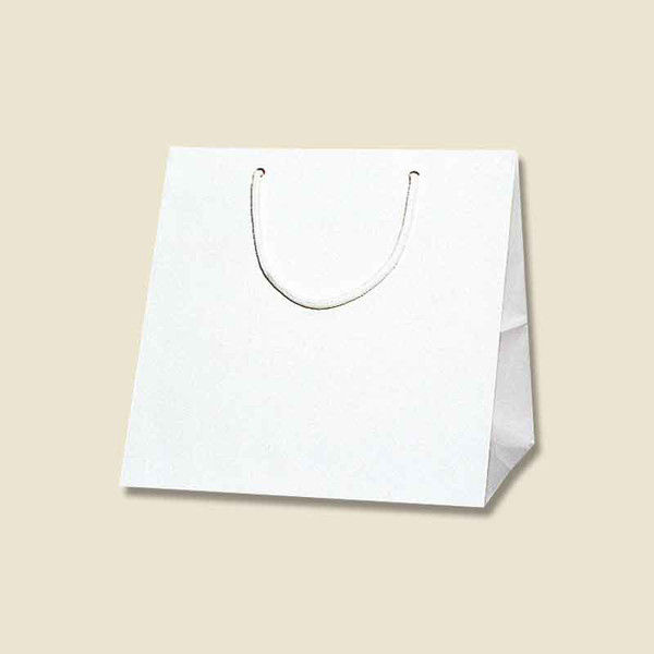 【ケース販売】シモジマ HEIKO 紙袋 ブライトバッグ C1 白 006459500 1ケース(10枚入×20袋 合計200枚)（直送品）
