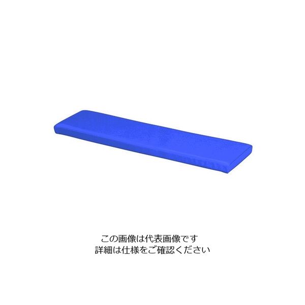 弘益 キッズガーデン マット・入口 ブルー KID-I250-BL 1個 7-3365-01（直送品）