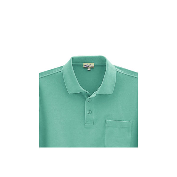 ビッグボーン商事 CAROL 206 半袖ポロシャツ ミントグリーン M（取寄品）