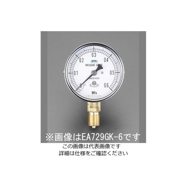 エスコ（esco） 100mm/0-2.0MPa 圧力計（耐脈動圧型） 1個 EA729GM-20（直送品）