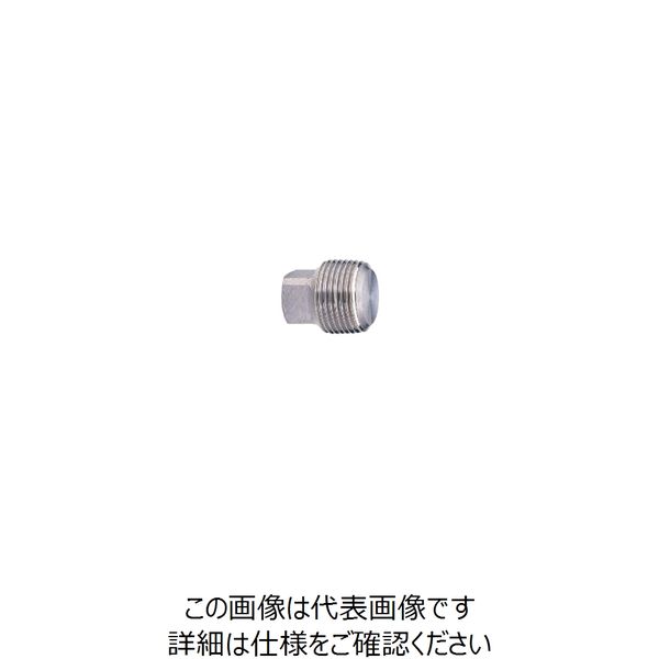 キッツ ステンレス鋼ねじ込み継手 プラグ(SUS316) 1/8 PPM-6A 1個（直送品）