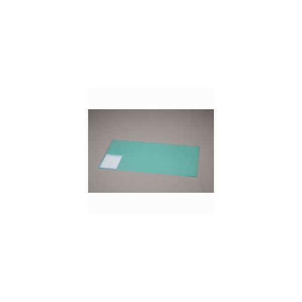 アイリスオーヤマ デスクマット ナチュラル/緑 DMTー9969PZ DMT-9969PZ 1個（直送品）