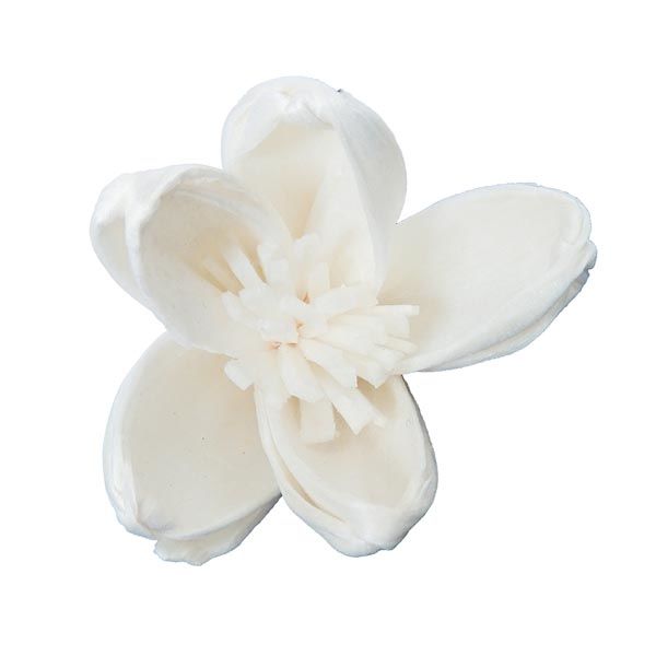 大仙 手作り花材 ソラフラワー プルブロッサム ホワイト 白　10輪入 Z001S0330 1セット（直送品）