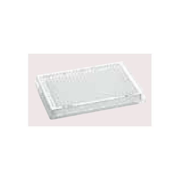 Microplate 384/VーPP， ProteinLoBind， PCR clean， 80枚(5袋×16枚) 0030 624.300（直送品）
