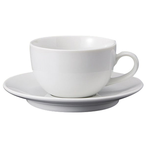 みやび街道 カップ＆ソーサー ベーシックカプチーノ碗皿 (5個入) mkd-77206373（直送品）