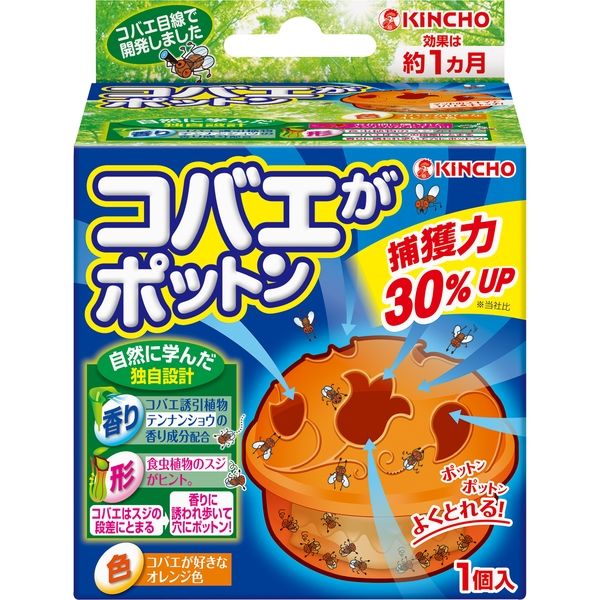 コバエがポットン 置くタイプT 4987115543454 1個×12点セット 大日本除虫菊（直送品）