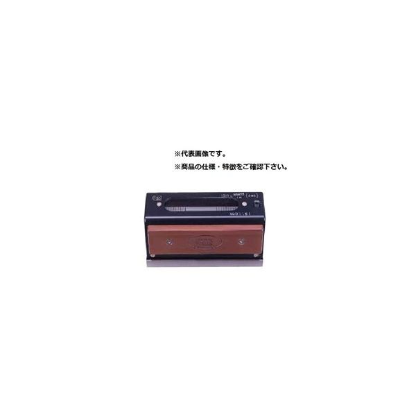 新潟理研測範（RSK） ミニレベル A級（NO.584） MINI0.02-100 1台（直送品）