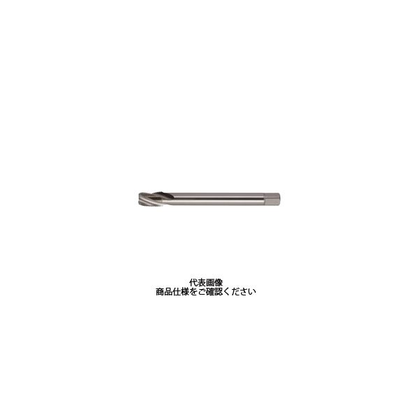 彌満和製作所 NPTスパイラルタップLSーSP Lー100 SーNPT 1/8 ー 27 LS-SP L-100 S-NPT - 1本（直送品）