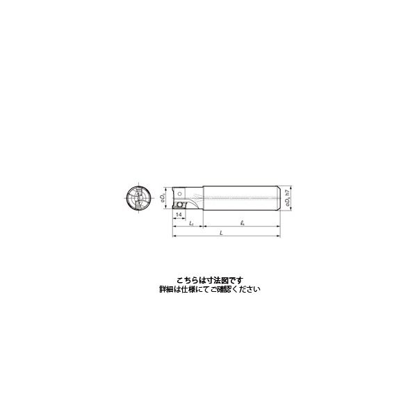 住友電工ハードメタル SEC-ウェーブミルWEX 3000E型 WEX3025E 1台（直送品）