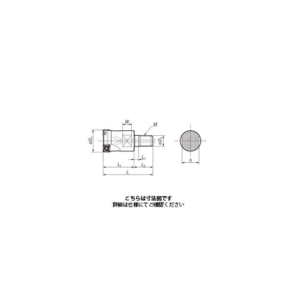 住友電工ハードメタル SEC- ウェーブミル WFX08020M10Z2 1台（直送品）