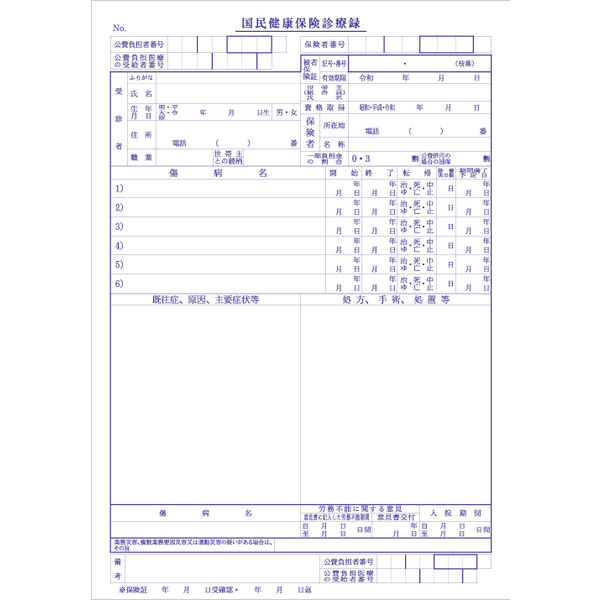 シンリョウ　国保診療録/1249　001249　1セット（2000枚）　（取寄品）