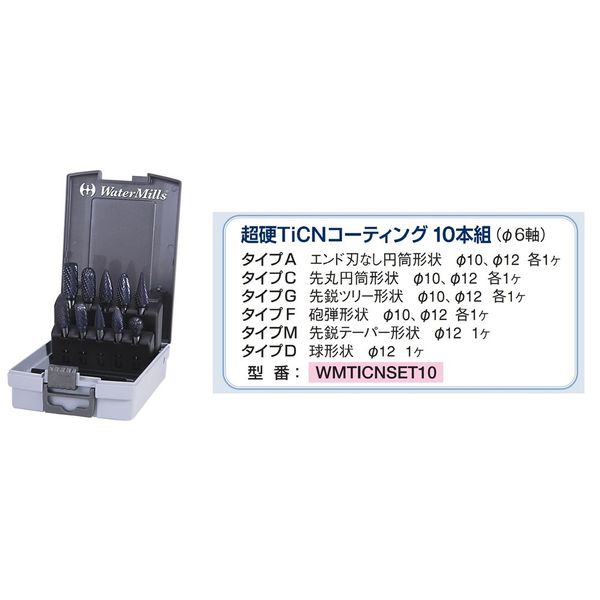 ノガ・ウォーターズ WMTiCN超硬ロータリーバーセット 6mm軸 10本組 【WMTICNSET10】 WMTICNSET10 1セット（直送品）