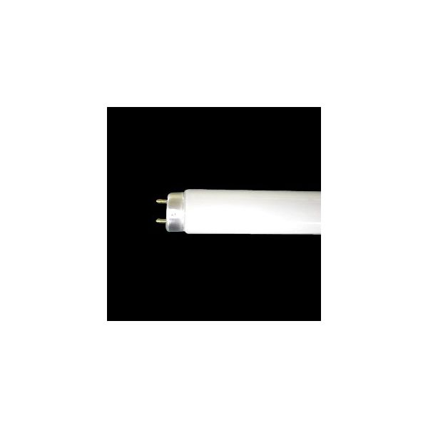 NEC ブラックライト 捕虫器用蛍光ランプ（ケミカルランプ） グロースタータ形 FL型 10W FL10BL 1本（直送品）