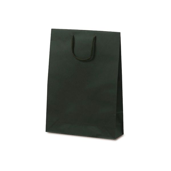 ベルベ 紙袋 1034 手提袋 T-8 カラークラフト グリーン 1034 1包：100枚（10×10）（直送品）