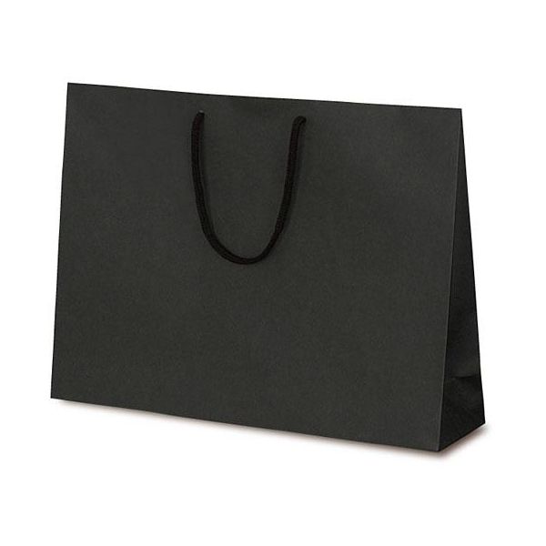 ベルベ 紙袋 1043 手提袋 T-Y カラークラフト ブラック 1043 1包：100枚（10×10）（直送品）