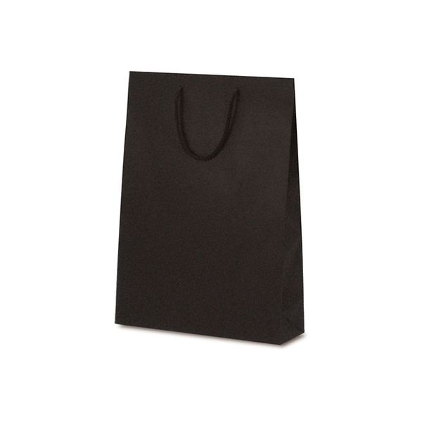 ベルベ 紙袋 1053 手提袋 T-8 カラークラフト ブラウン 1053 1包：100枚（10×10）（直送品）