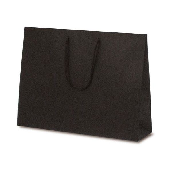 ベルベ 紙袋 1054 手提袋 T-Y カラークラフト ブラウン 1054 1包：100枚（10×10）（直送品）
