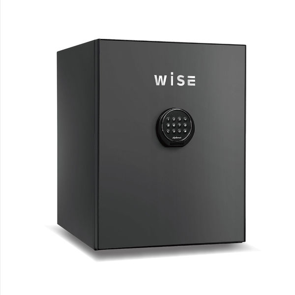 【設置込】 ディプロマット WISEプレミアムセーフ テンキー式耐火金庫 （60分耐火） 36L ダークグレイ WS500ALDG 1台（直送品）