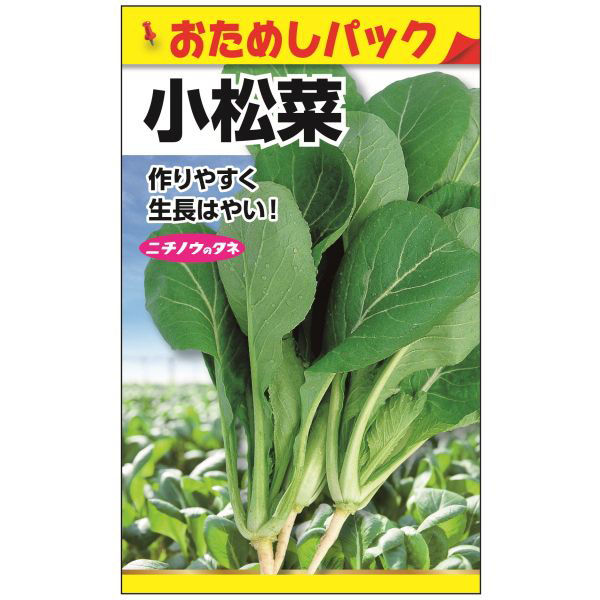 ニチノウのタネ 小松菜（おためしパック） 日本農産種苗 4960599170804 1セット（10袋入）（直送品）