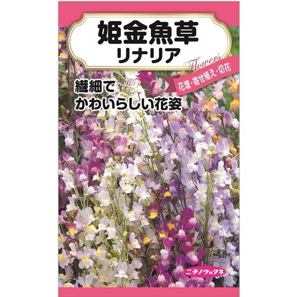 ニチノウのタネ 姫金魚草 日本農産種苗 4960599410481 1セット（5袋入）（直送品）