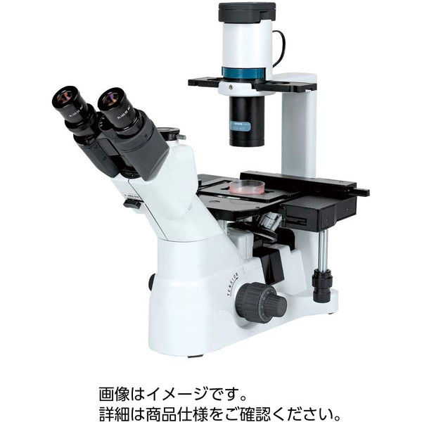 ケニス 倒立位相差顕微鏡 XD30-PH4 31490114（直送品）