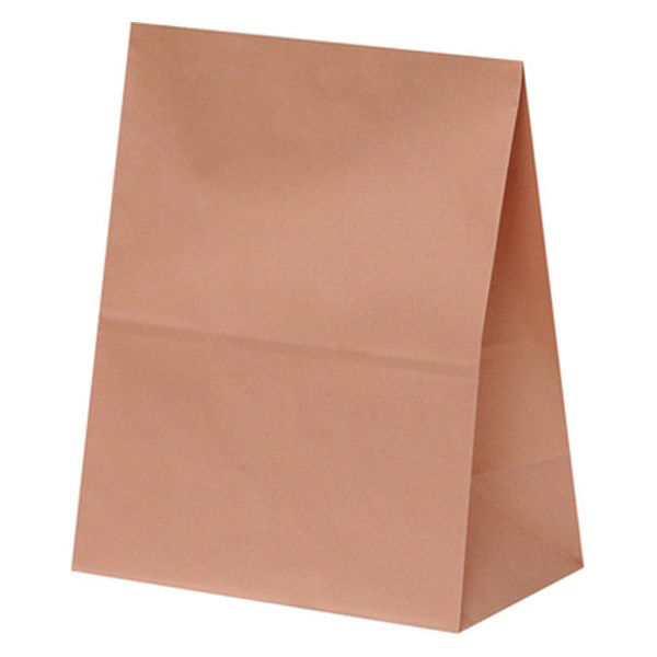 【紙袋】ハイバッグ（角底袋） H300 ブラン XZT01071 1袋（100枚入）パックタケヤマ