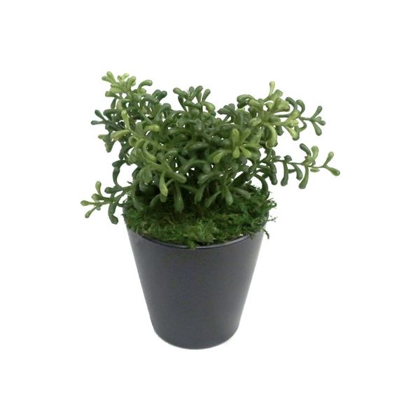ササガワ フェイクグリーン・人工観葉植物 マリオ ミニサイズ 32-8702 1個（直送品）