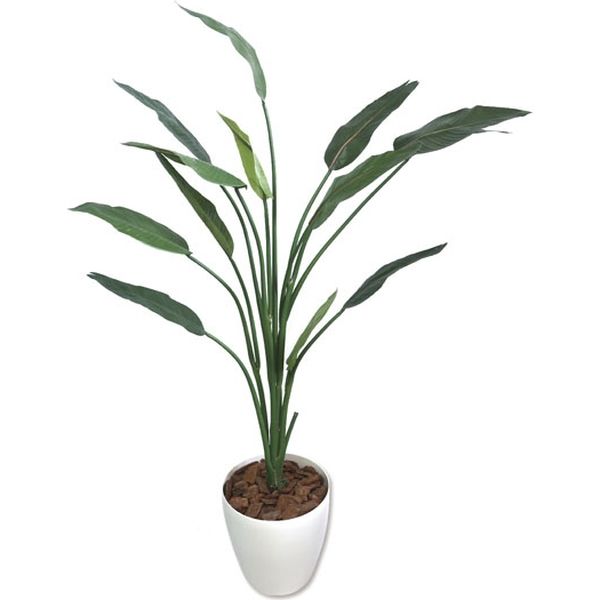 ササガワ フェイクグリーン・人工観葉植物 ストレリチア Lサイズ 32-8723 1個（直送品）