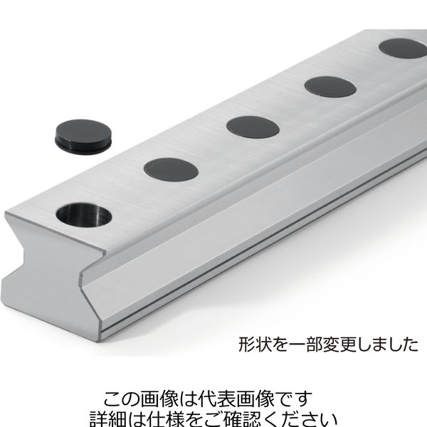 日本精工 NSK レールキャップ LGーCAP/M14 LG-CAP/M14 1セット(100個:20個×5箱)（直送品）