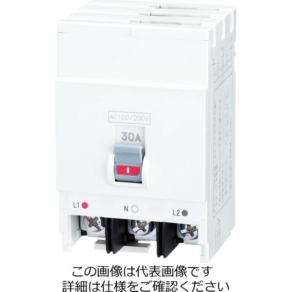 日東工業（NiTO） ニットウ ブレーカ PN53A3P15A 1個（直送品）