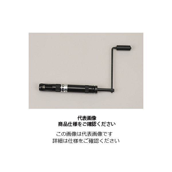 日本スプリュー スプリュー P型挿入工具 INP M12-1.75 1本（直送品）
