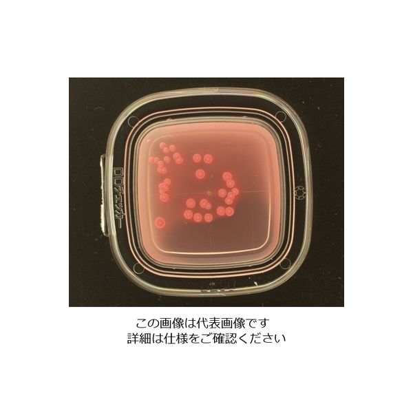 極東製薬工業 DDチェッカー（細菌検出用培地） デオキシコレート寒天培地 大腸菌群検出用 4211 1箱（100枚） 4-1250-02（直送品）