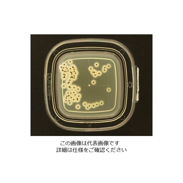 極東製薬工業 DDチェッカー（細菌検出用培地） TGSE寒天培地 黄色ブドウ球菌検出用 4251 1箱（100枚） 4-1250-07（直送品）