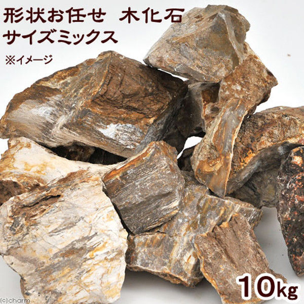 形状お任せ 木化石 サイズミックス 10kg 115656 1個（直送品）