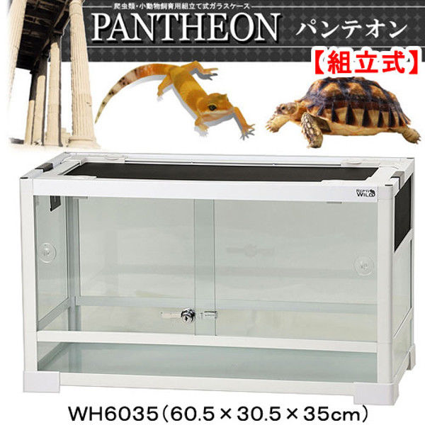SANKO（三晃） レプティワイルド パンテオン ホワイト WH6035 60.5×30.5×35cm 175370 1個（直送品）