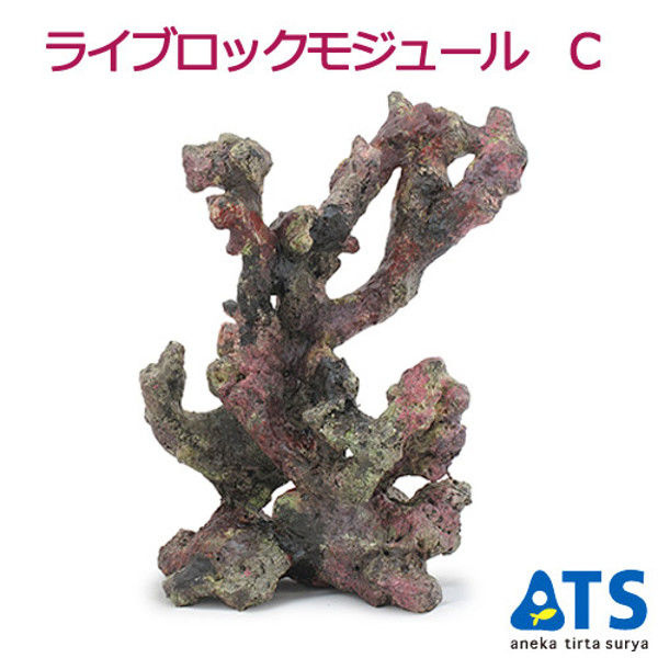 ATS（アネカティルタスリヤ） ライブロックモジュール C アクアリウム 擬岩 201420 1個（直送品）