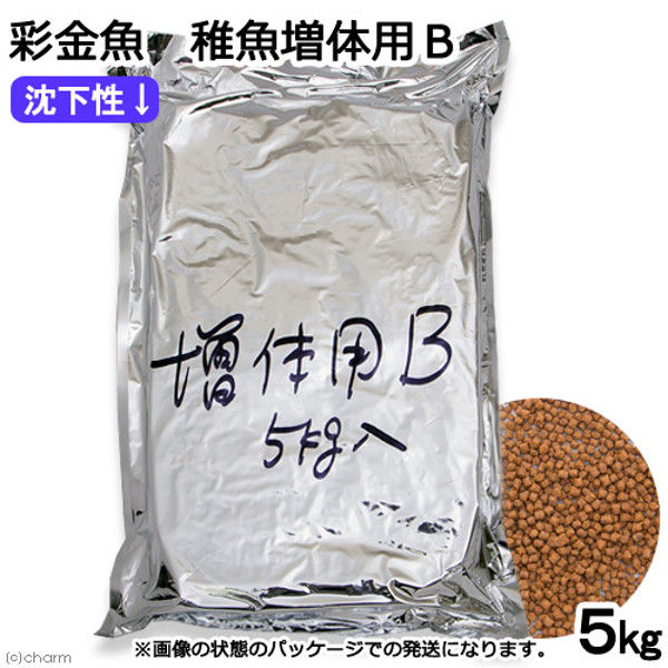 ミシロ 彩金魚 稚魚増体用B 沈下性 5kg 201676 1個（直送品）