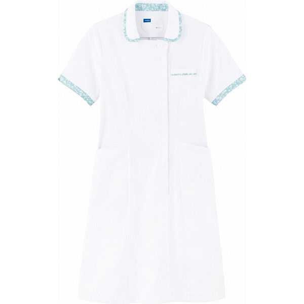 自重堂 WHIseL（ホワイセル） ワンピース WH12100 ホワイトブルー S 医療白衣 1枚（取寄品）
