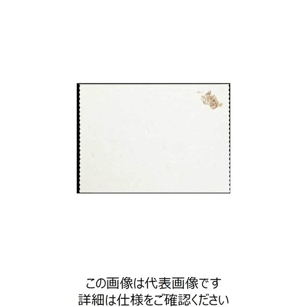 大黒工業 大黒 天ぷら敷紙四季 (オコゼ) 215660 1組(1000枚) 236-0263（直送品）