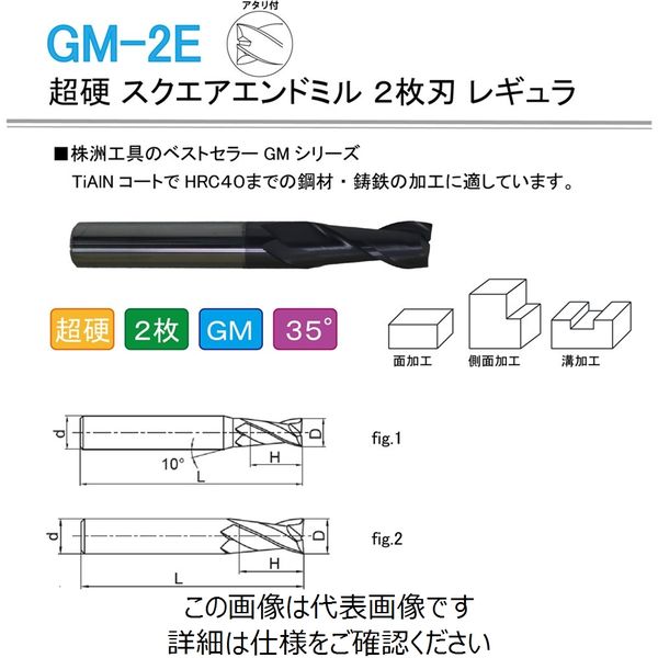 株洲工具 超硬 スクエアエンドミル 2枚刃 レギュラ GM-2E-D1.5S 1セット（5本）（直送品）
