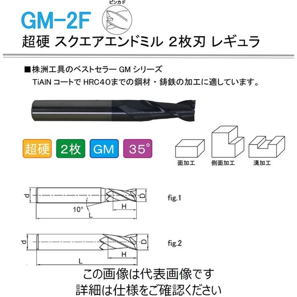 株洲工具 超硬 スクエアエンドミル 2枚刃 レギュラ ピンカド GM-2F-D12.0 1セット（2本）（直送品）
