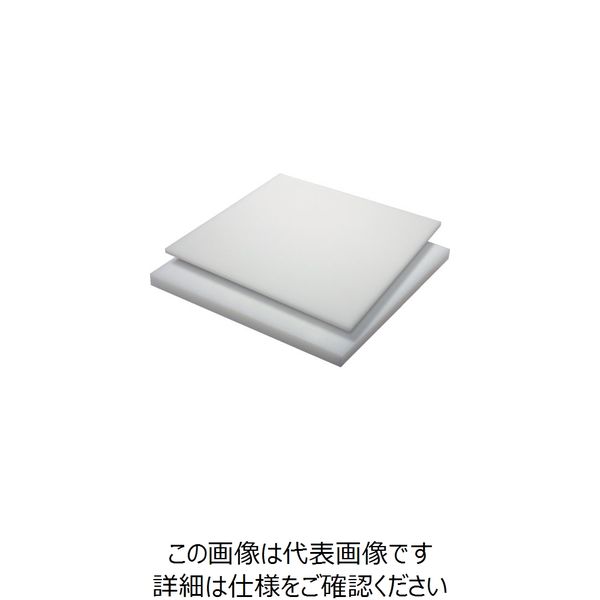 タキロン HDPE 10T×500×1000 白 TP-PE-PLATE-720A-10-500-1000 124-3603（直送品）