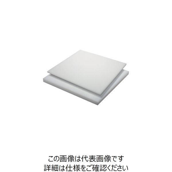 タキロン HDPE 20T×500×1000 白 TP-PE-PLATE-720A-20-500-1000 124-5212（直送品）