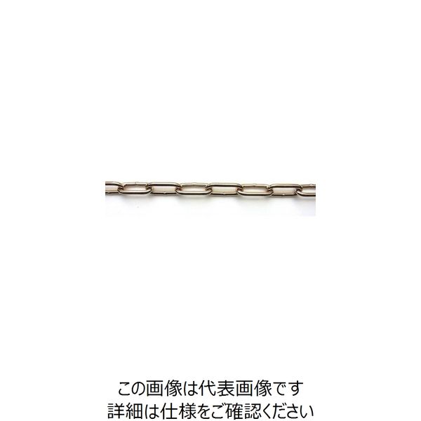 ニッサチェイン 鉄カラーヘビーリンク 30m巻 金 R-IW30E-GD 1巻(30m) 127-7198（直送品）
