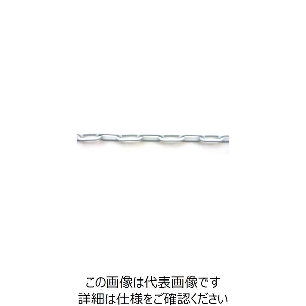 ニッサチェイン 鉄カラーヘビーリンク 30m巻 白 R-IW30E-W 1巻(30m) 127-7159（直送品）