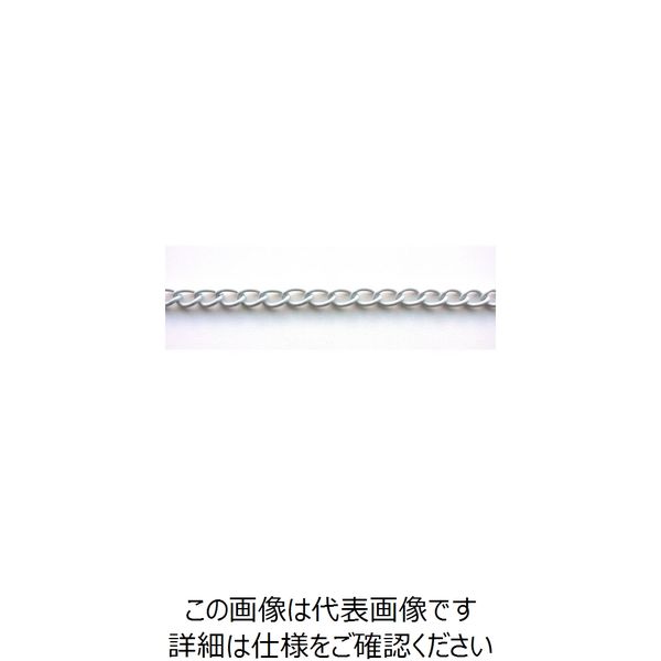 ニッサチェイン 鉄カラーマンテル 15m巻 白 R-IM126E-W 1巻 126-3044（直送品）