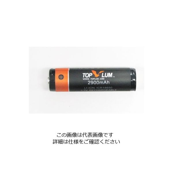 エスコ 電池/充電用(EA758RDー5A用) EA758RD-5BA 1セット(10個)（直送品）
