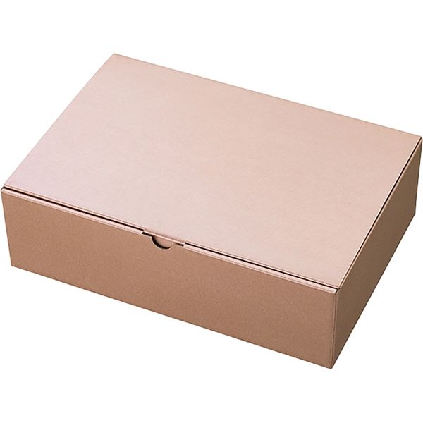 ヘッズ 無地シャンパンピンクギフトボックス-1 50枚(10枚×5) MCP-GB1（直送品）